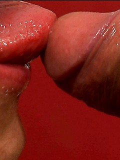Studs oral and anal party