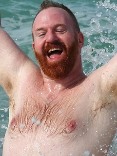  Amazing ginger bear Steve Ellis frolics on the beach
